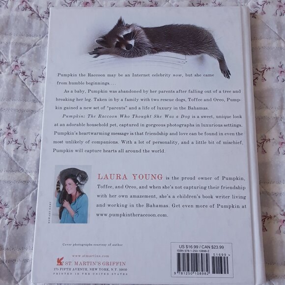 Pumpkin The Raccoon Book - Picture 3 of 9